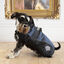 Outech Sport Casaco Preto com Azul para cães, , large Indicador imagem número 2